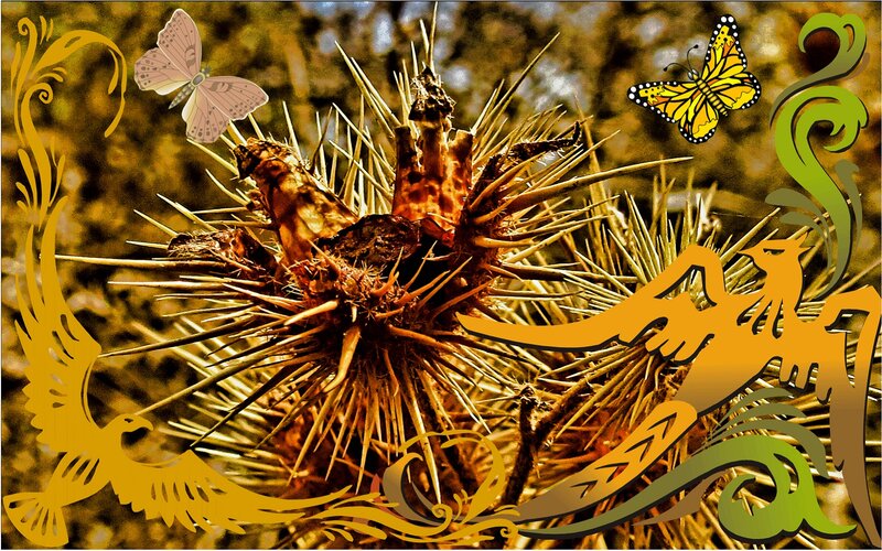 Thorny Plant with Butterflies