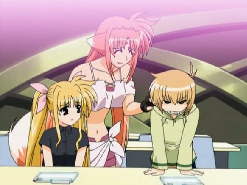 Three Anime Girls at Desk