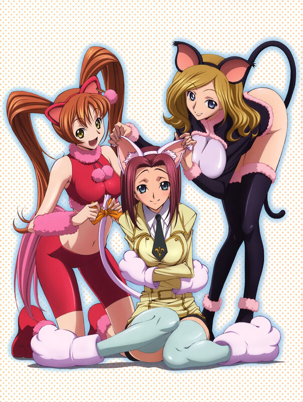 three anime girls in cat costumes