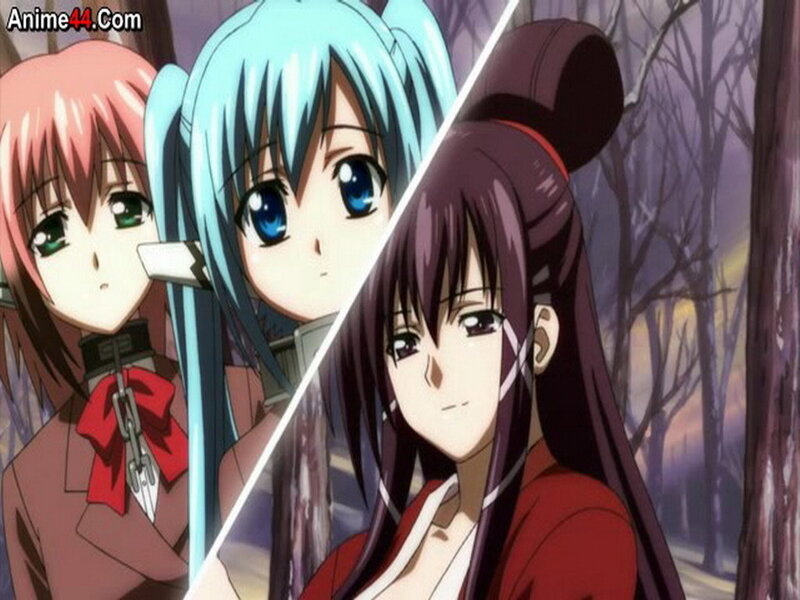 Three Anime Girls in Forest