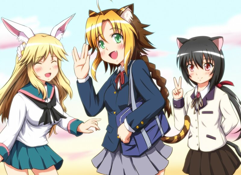 three anime girls with animal ears