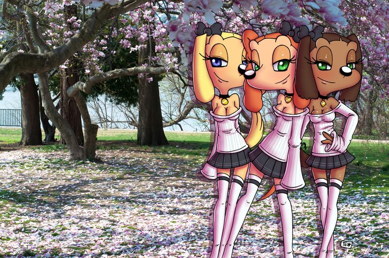 Three Anthropomorphic Girls