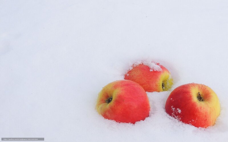 Three Apples in Snow — Red