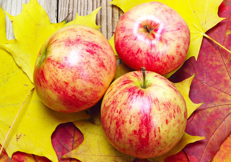 Three Apples on Leaves