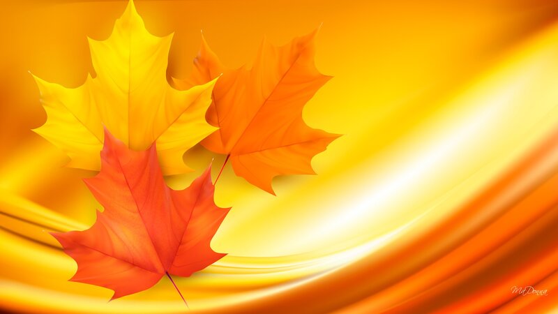Three Autumn Leaves