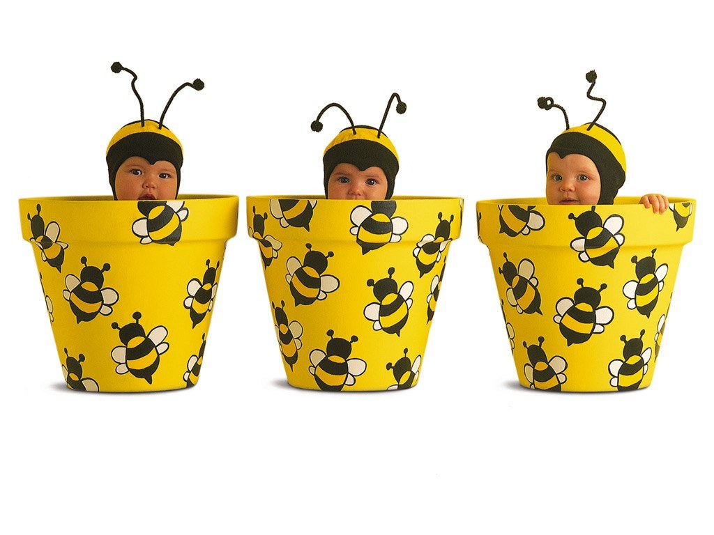 three babies in bee costumes