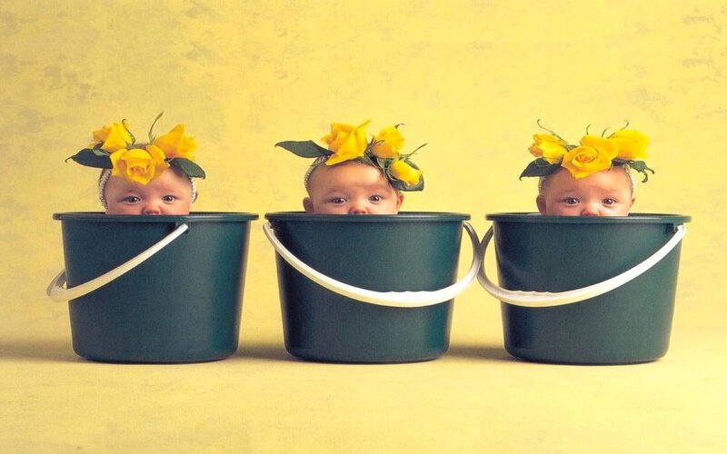 Three Babies in Buckets — Yellow