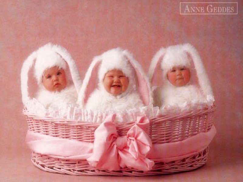 Three Babies in Bunny Costumes — Pink