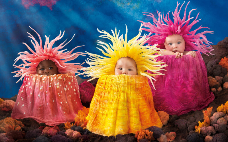 Three Babies in Costumes — Blue