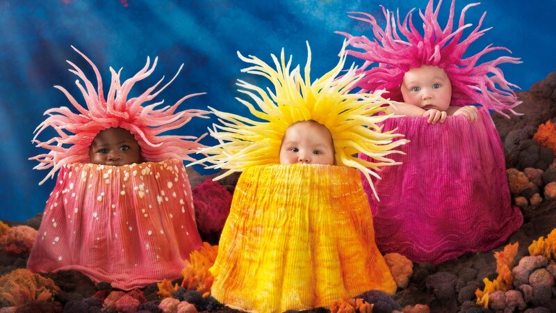 Three Babies in Costumes