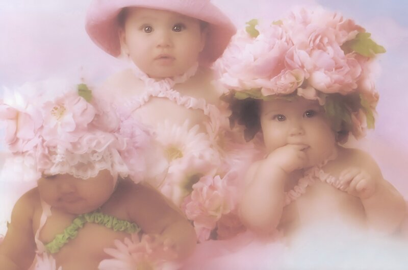 Three Babies in Floral Hats