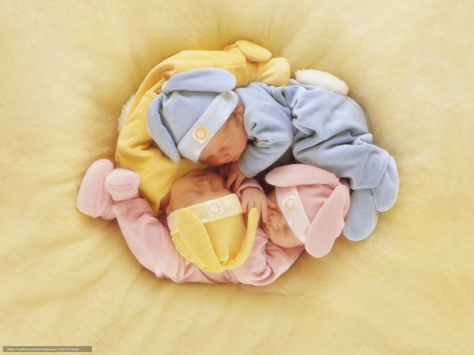 Three babies sleeping together