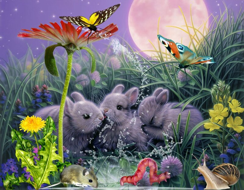 Three Baby Bunnies — Purple