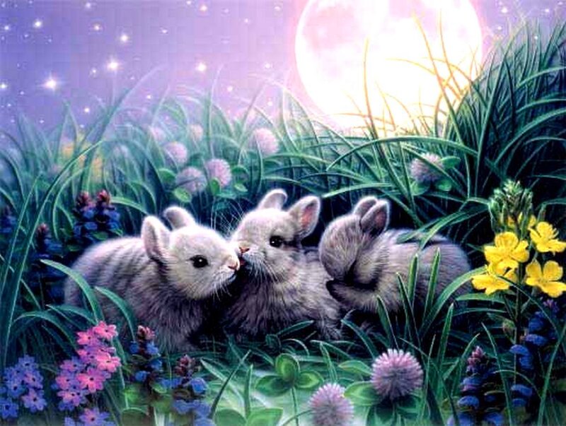 Three Baby Bunnies