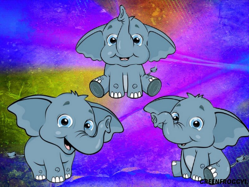 Three Baby Elephants