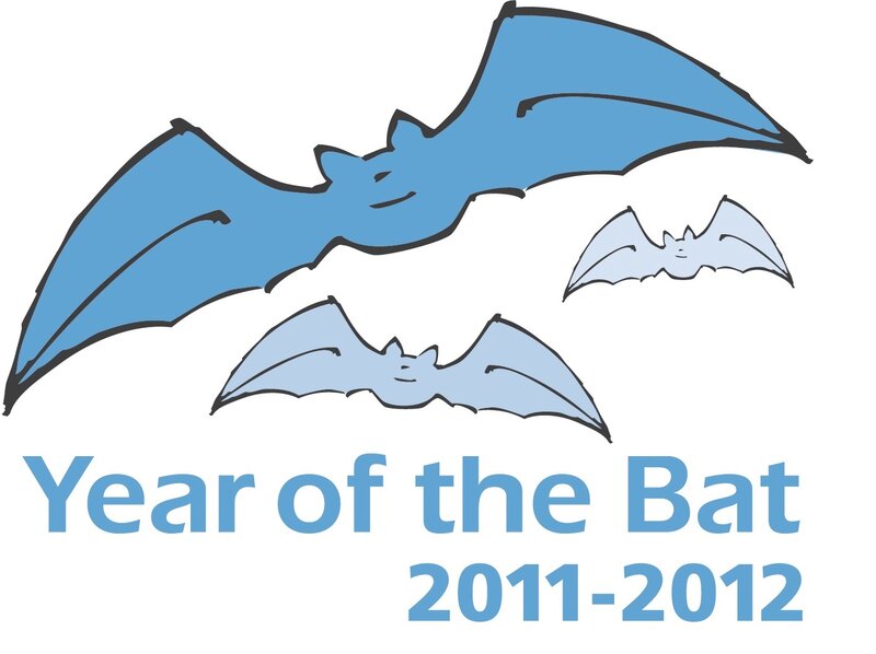 Three Bats Flying