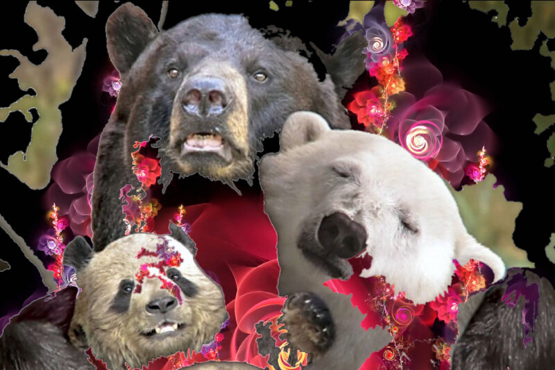 Three Bears Collage