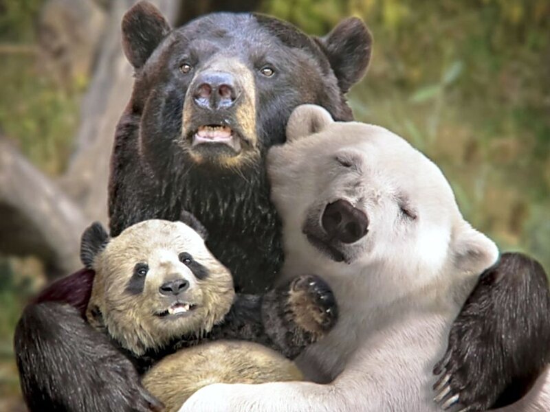 Three Bears Hugging