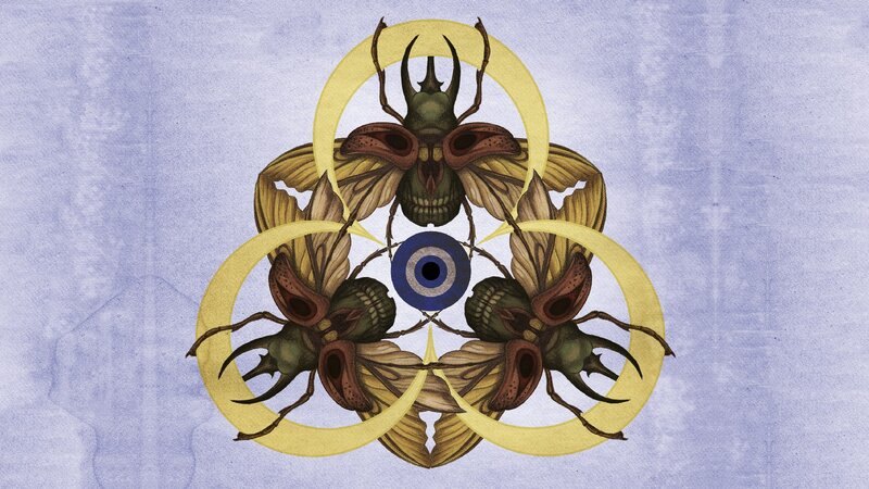 Three Beetles in Circle