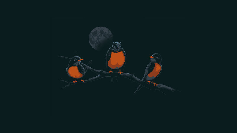 Three birds on a branch at night