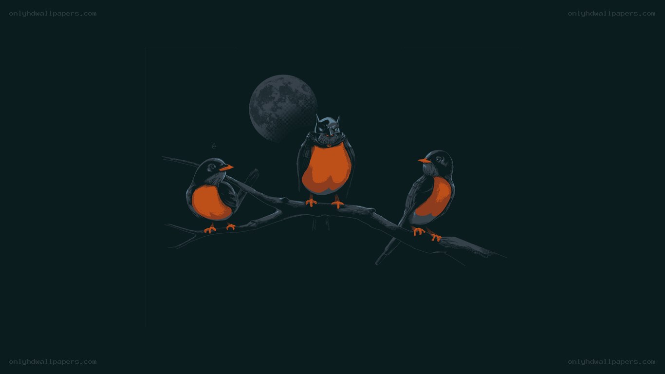 Three birds on a branch at night