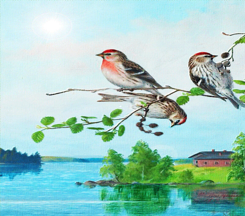 Three Birds on a Branch — Blue, Serene