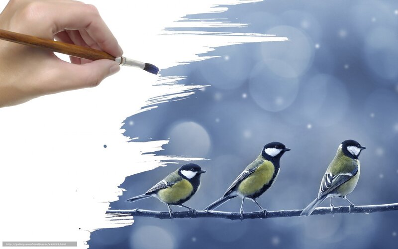 Three Birds on a Branch — Blue, Serene, Winter