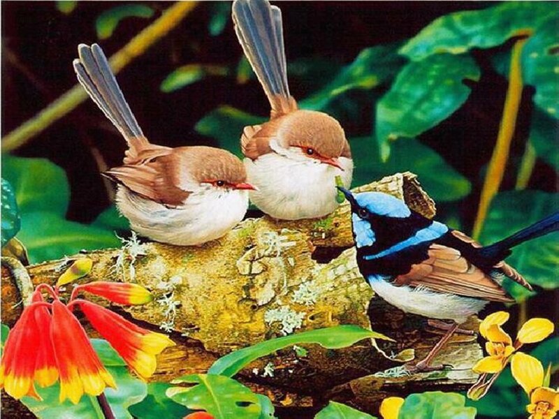Three Birds on a Branch — Green