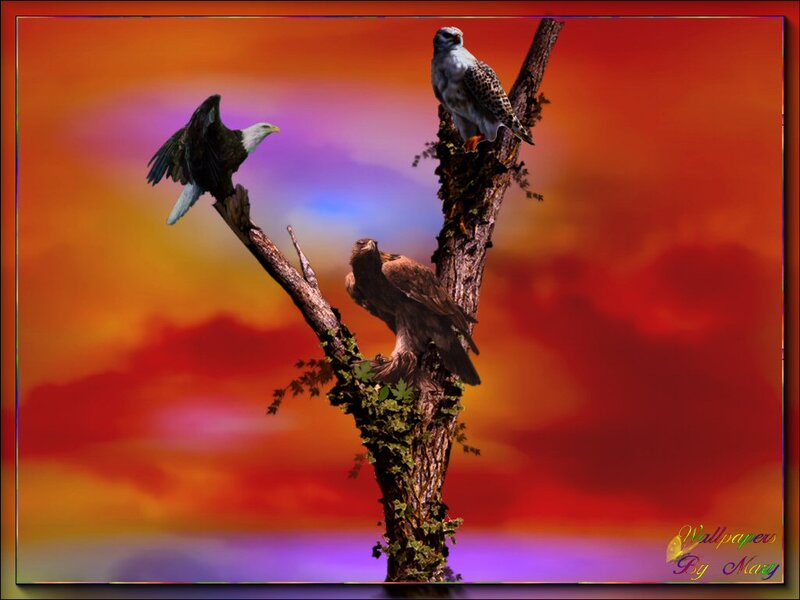 Three Birds on a Branch — Red, Dramatic