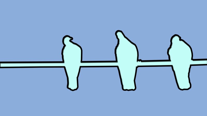 Three Birds on a Wire — Blue