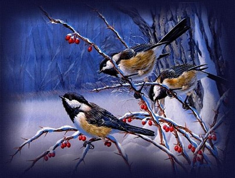 Three Birds on Branch — Blue