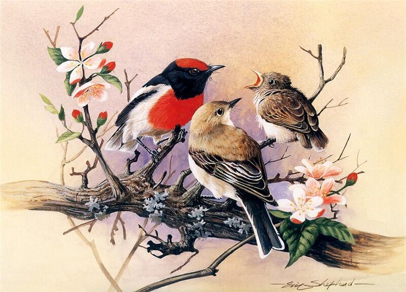 Three Birds on Branch — Brown