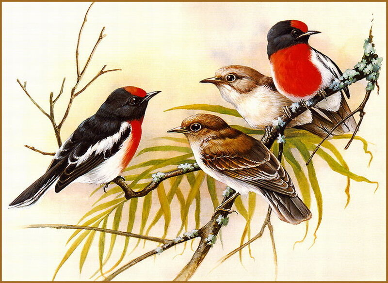 Three Birds on Branches — Brown