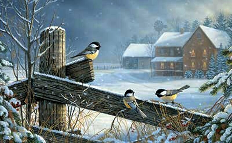 Three Birds on Fence
