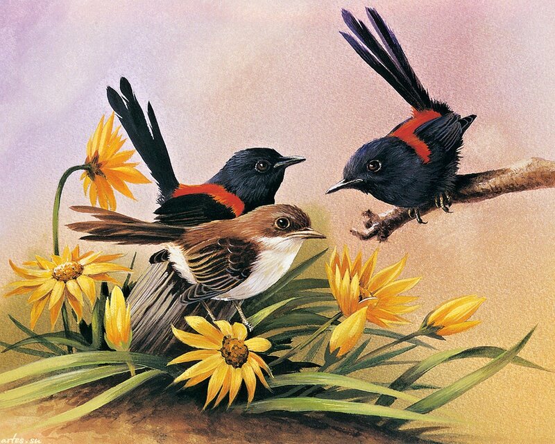 Three Birds on Flowers