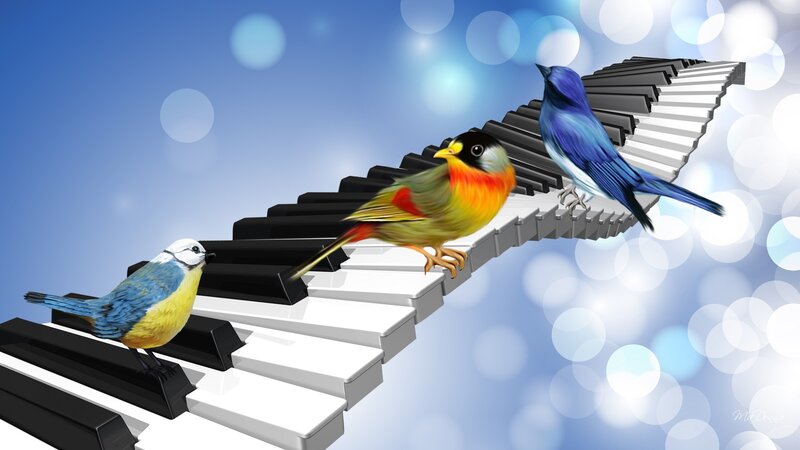 Three Birds on Piano Keys