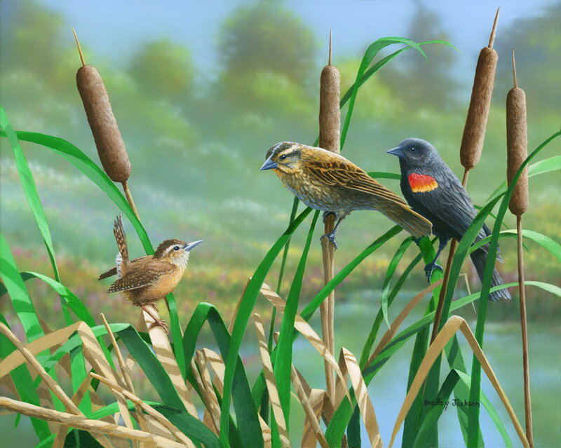 Three Birds on Reeds