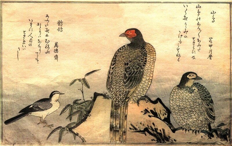 Three Birds on Rocks — Brown