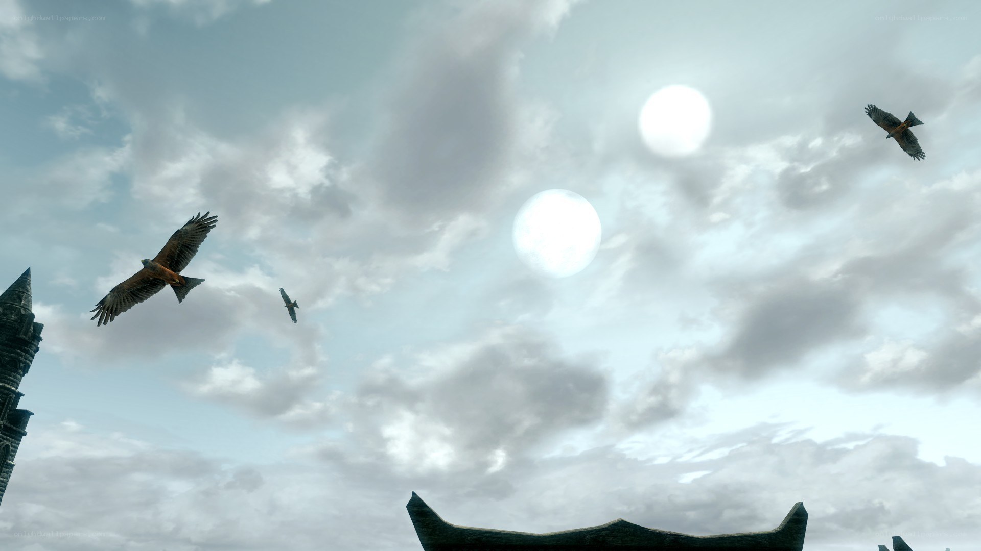 Three birds soar in a cloudy sky