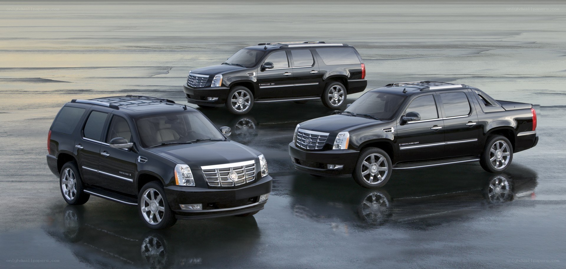 Three black Cadillac SUVs