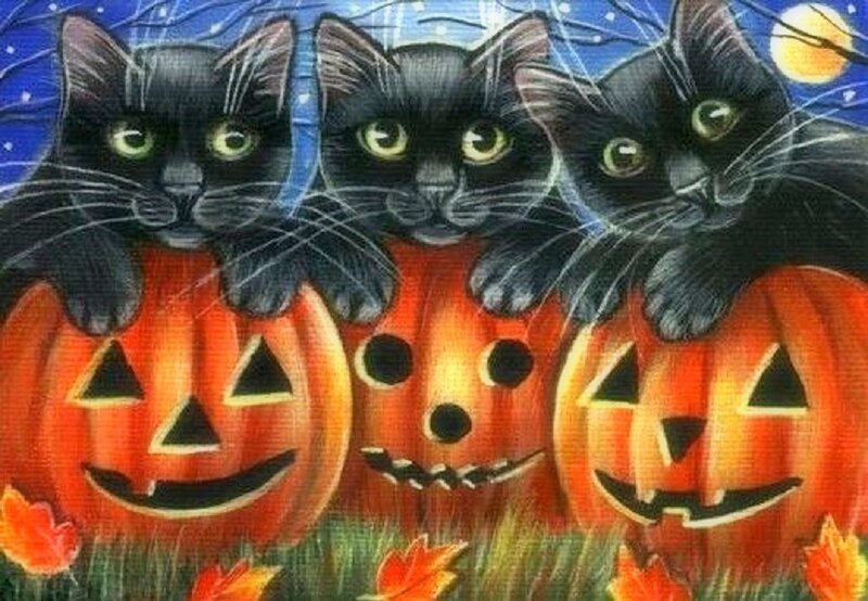 Three Black Cats on Pumpkins