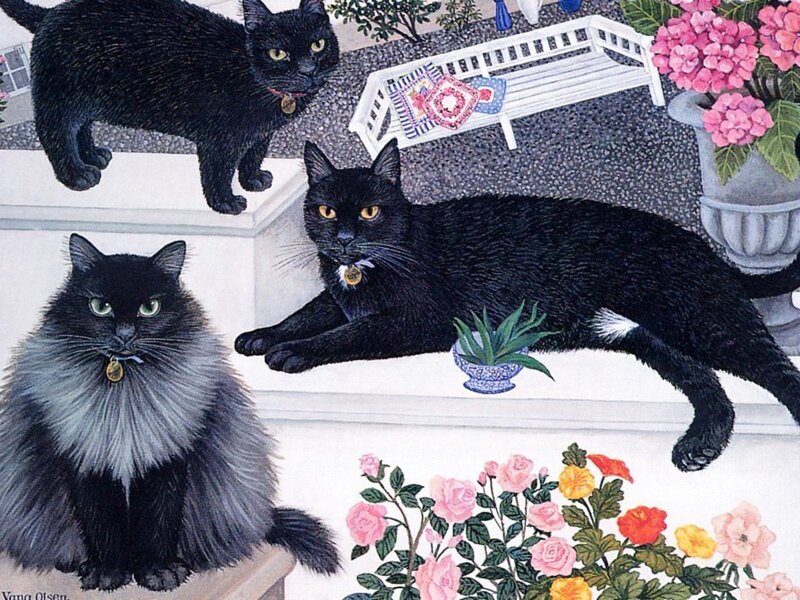Three Black Cats on Steps