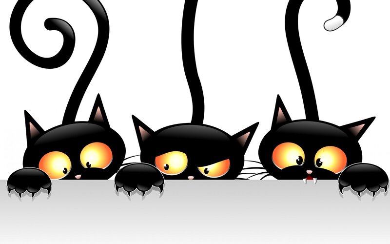 Three Black Cats — Playful