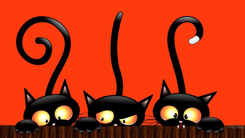 Three Black Cats — Red
