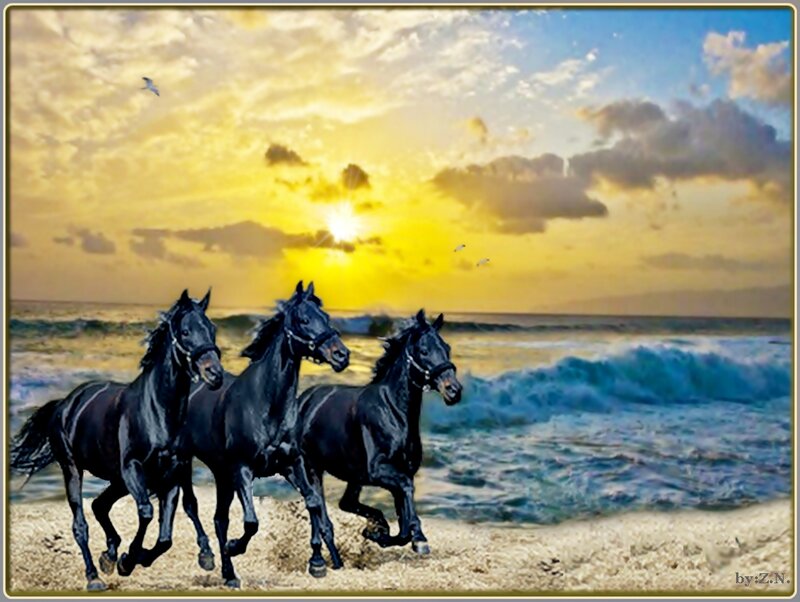 Three Black Horses Running — Yellow