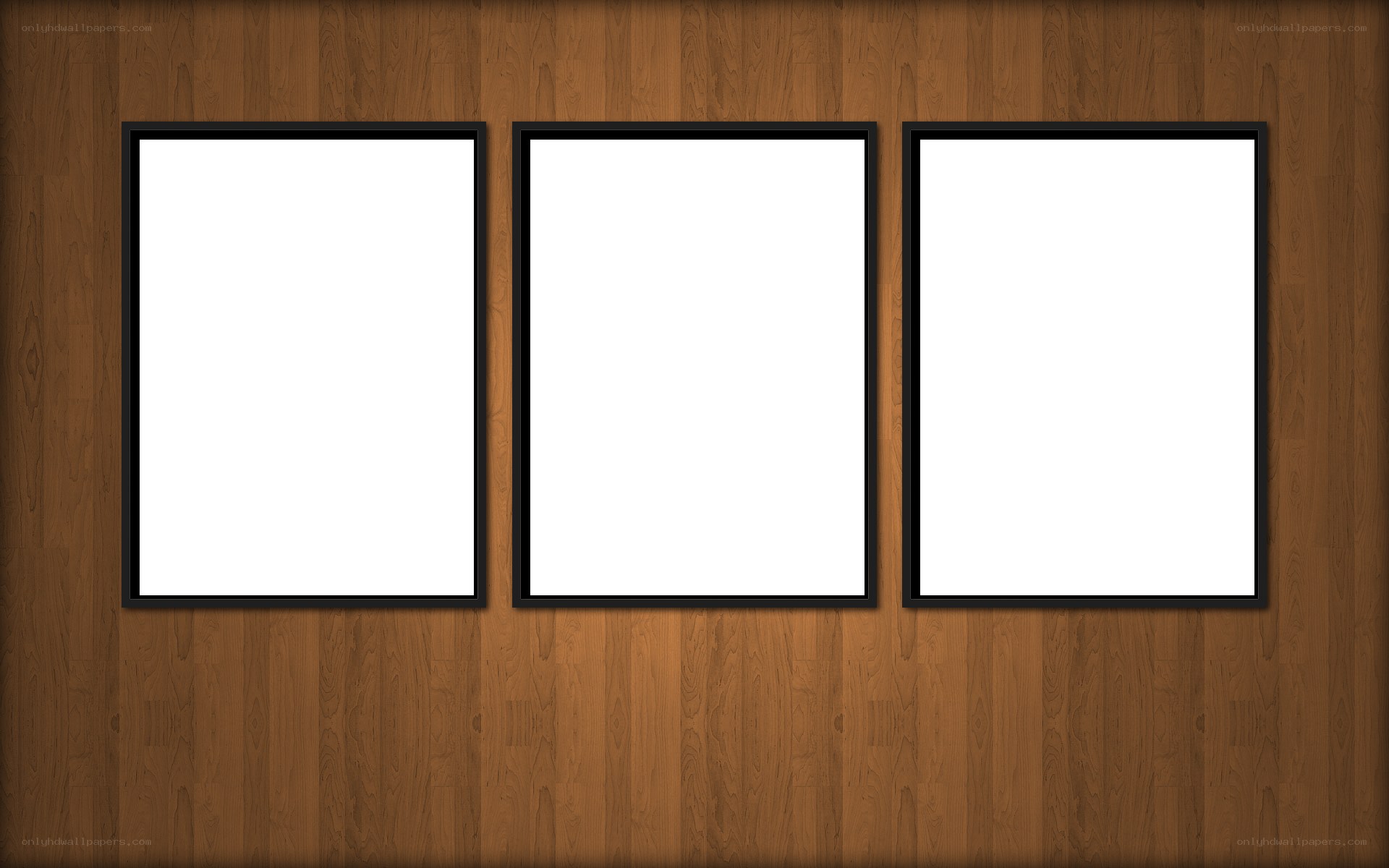 three blank frames on wood wall