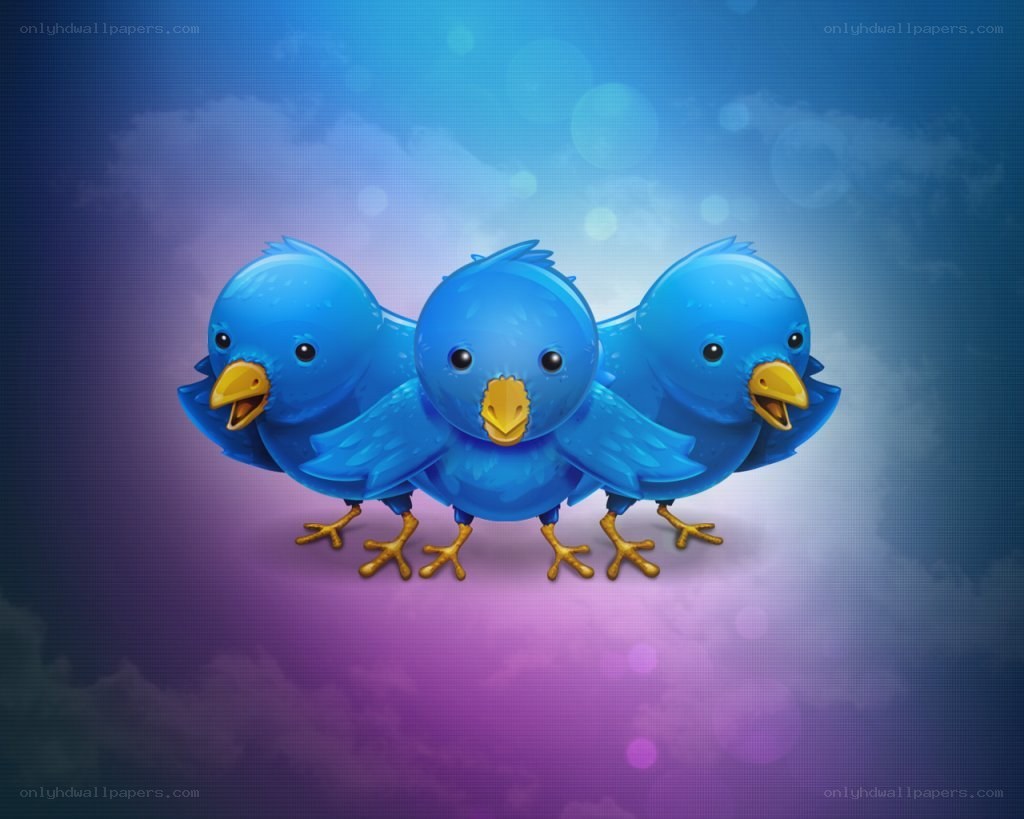 three blue birds on a colorful background