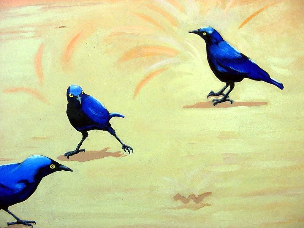Three blue birds on sand
