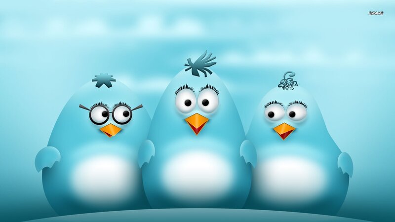 Three Blue Birds