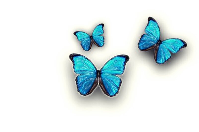 Three Blue Butterflies — Serene
